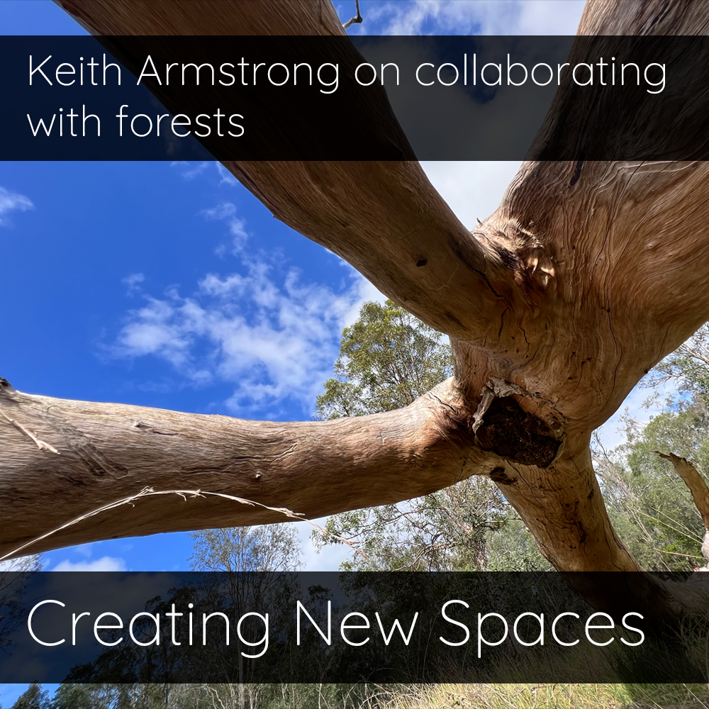  Keith Armstrong on collaborating with forests
