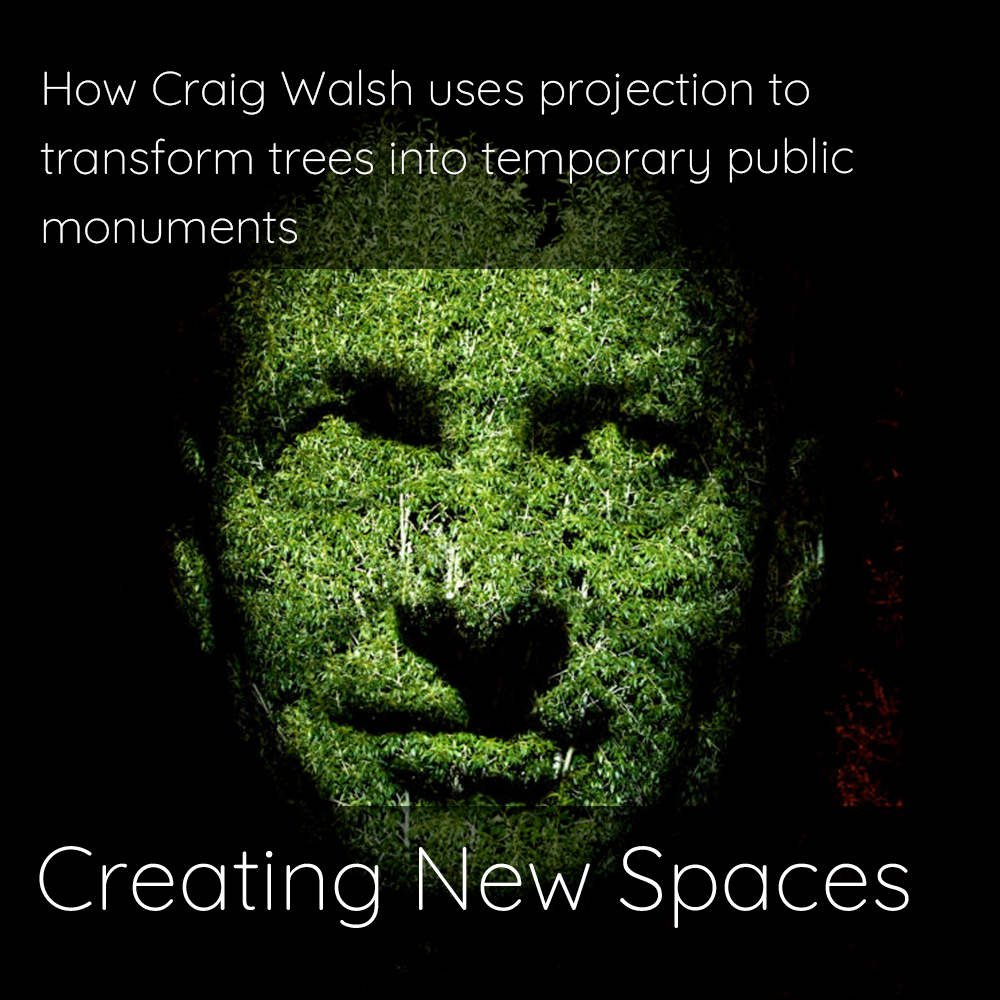  How Craig Walsh uses projection to transform trees into temporary public monuments