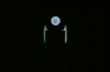 [3.GIF]