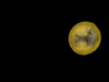 [hmd.2.GIF]